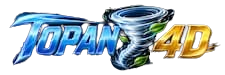 TOPAN4D Standard Logo